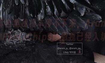 这写真合集我根本停不下来，Aram(아람)的PhotoChips珍恩我已经入坑了