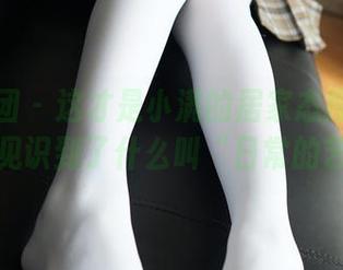 森萝财团 – 这才是小满的居家态度——原图让我见识到了什么叫“日常的艺术”!
